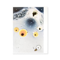 Stephen Gill / Coexistence - Large Poster