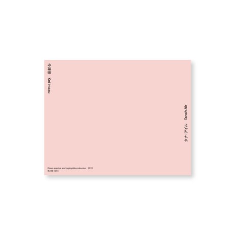Kei Imazu / 【14】Flores erectus and Leptoptilos robustus Postcard
