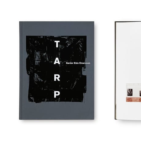 Gardar Eide Einarsson / TARP