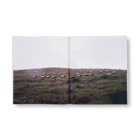Ryuhei Nakagawa / CAMINO