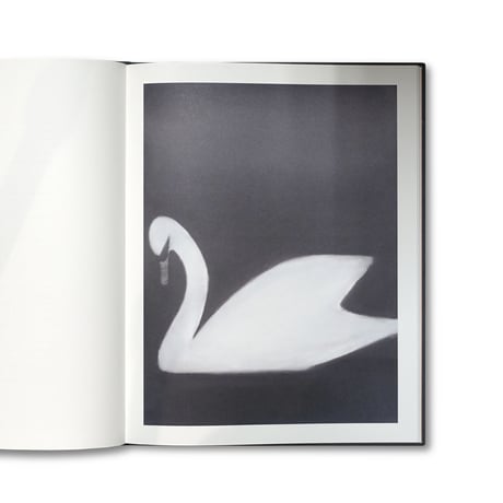 Mats Gustafson / SWAN