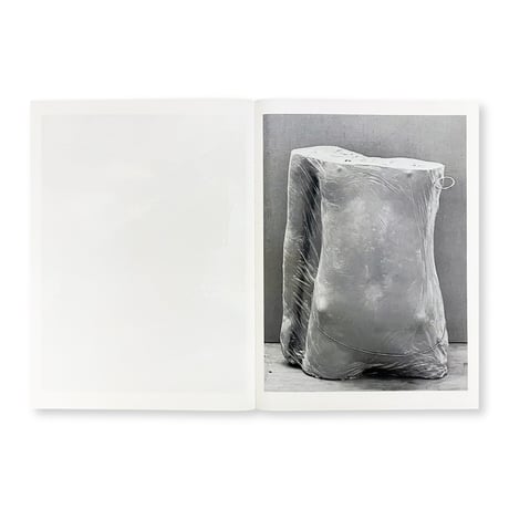 Mark Manders / Studio Snapshots