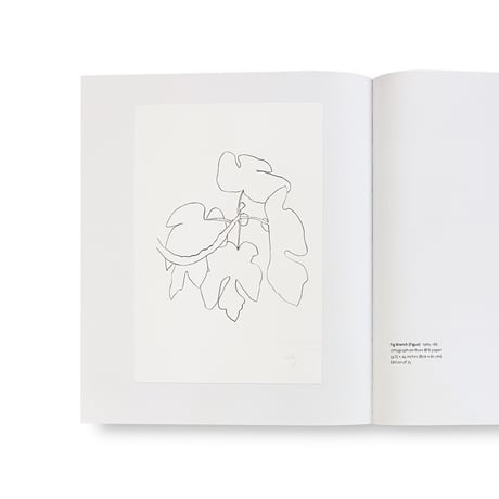 Ellsworth Kelly / Plant Lithographs