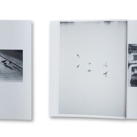Jochen Lempert / Paare / Pairs