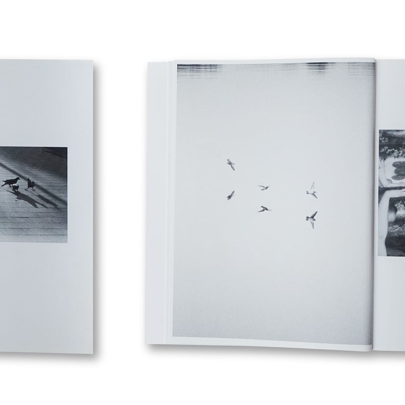 Jochen Lempert / Paare / Pairs | Gallery 5