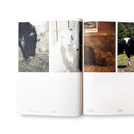 Jens Hoffmann / Animality