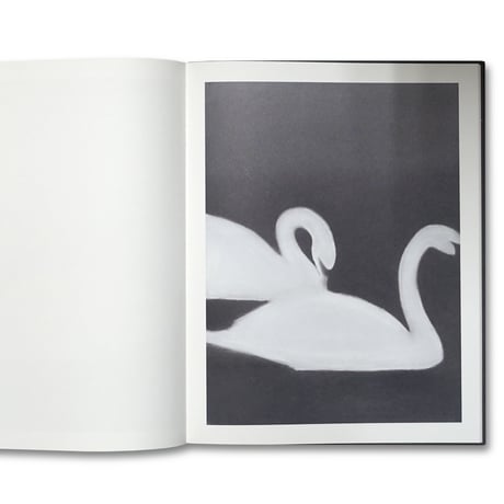 Mats Gustafson / SWAN