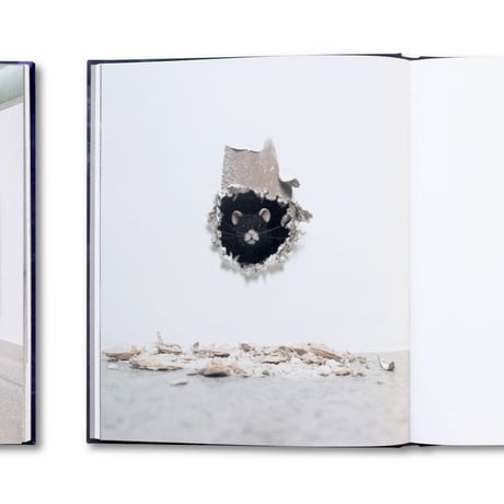 Ryan Gander / The Rates of Change 변화율