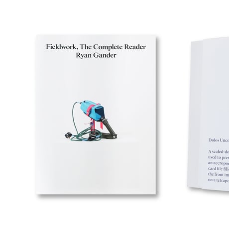 Ryan Gander / Fieldwork, The Complete Reader