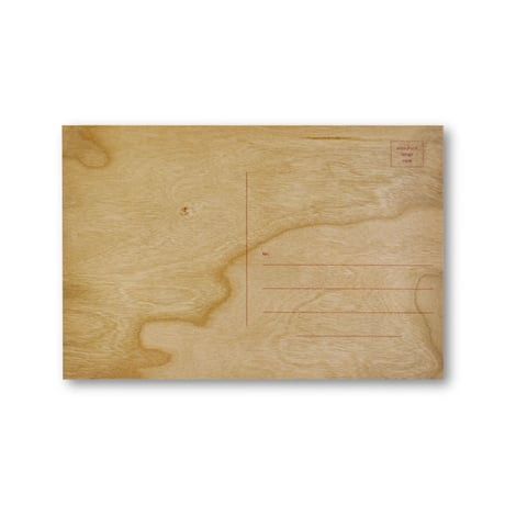 Jenny Holzer / Expiring for Love is Beautiful But Stupid Wooden Postcard