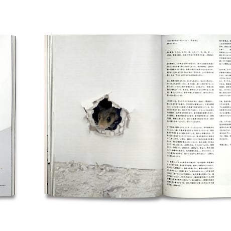Ryan Gander / われらの時代のサイン THE MARKERS OF OUR TIME