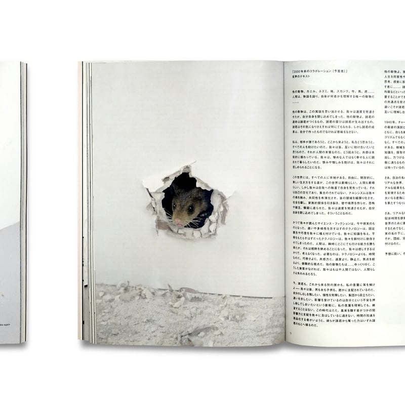Ryan Gander / われらの時代のサイン THE MARKERS OF OUR TIM