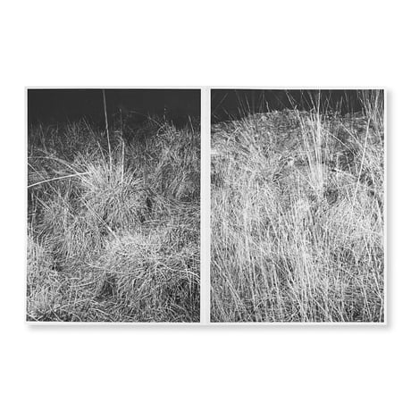 Bas Ketelaars / Edges of Landscape