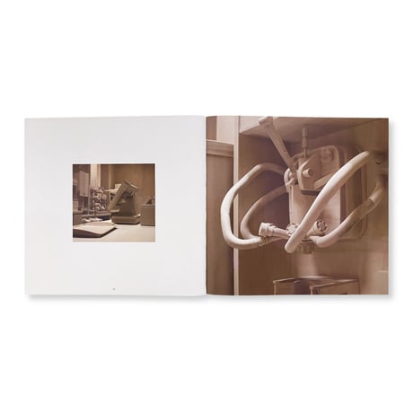 Roxy Paine / Dioramas