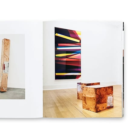 Walead Beshty / Natural Histories