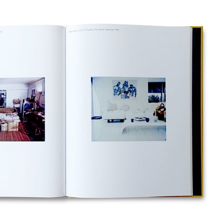 Dominique Nabokov / New York Living Rooms
