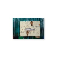 Kei Imazu / 【B-11】Lost Fish Postcard