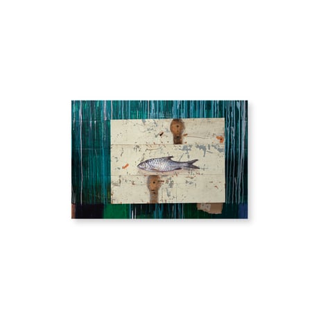 Kei Imazu / 【B-11】Lost Fish Postcard