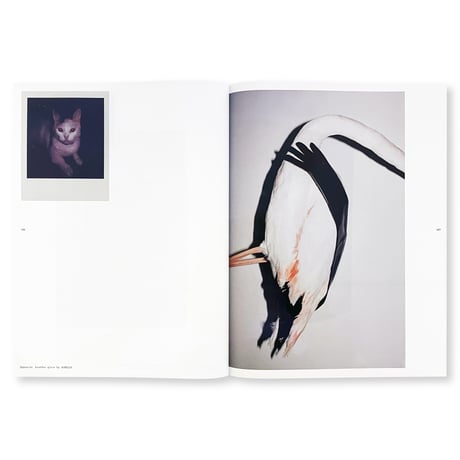 crosscurrent magazine issue six [cover three] Courrèges by Takashi Homma