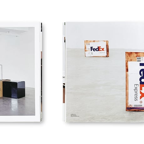 Walead Beshty / Natural Histories