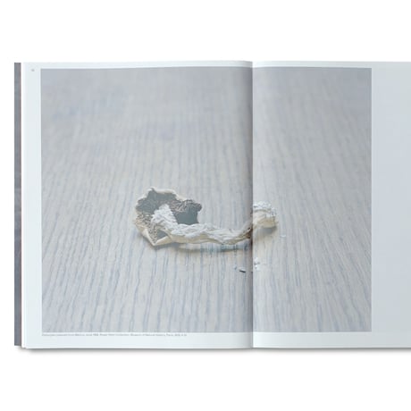 Mathias de Lattre / Mother’s Therapy