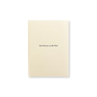 David M. Skoudy / The Pictures on My Wall
