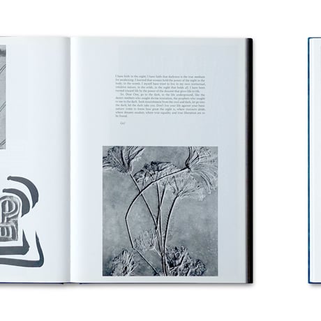 Kirstine Roepstorff / The Archive of Dark