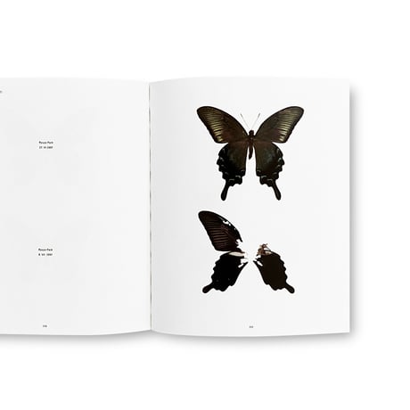 Hiromasa Iwasaki / NO-RECORD-FOUND CERTIFICATE – 759 Insects –