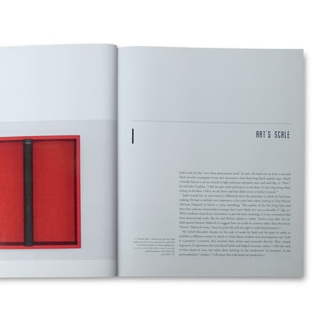 David Raskin / Donald Judd