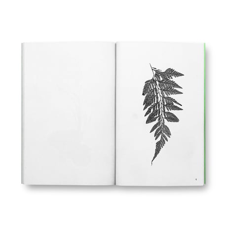 Jamie Yeo / Plant Scans