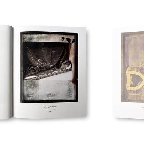 Rosemarie Trockel / Flagrant Delight
