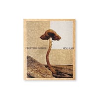 Ying Ang / Fruiting Bodies