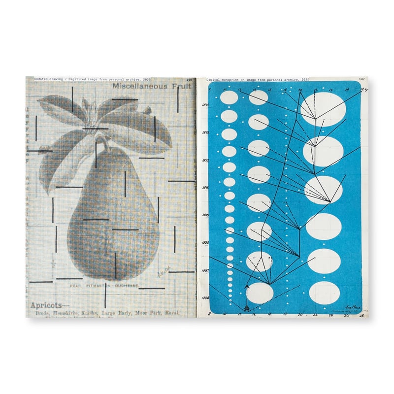 絵画 マーガレット ペクナール リトグラフ 限定 証明書付 楽天市場】【レビュー特典付き】マルク シャガール「恋人たちと