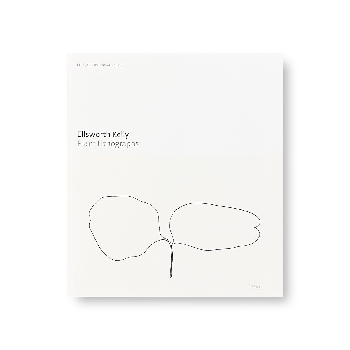 Ellsworth Kelly Plant Lithograエルズワース・ケリー Ellsworth Kelly