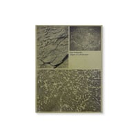 Bas Ketelaars / Edges of Landscape