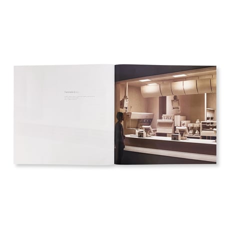 Roxy Paine / Dioramas