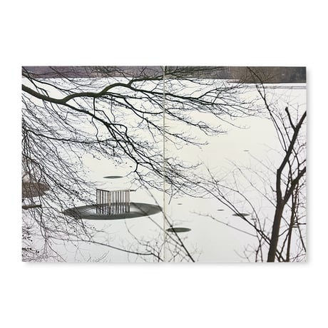 Alfredo Jaar / The Garden of Good and Evil
