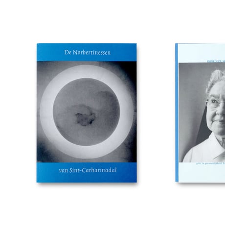De Norbertinessen van Sint-Catharinadal (Dutch only)