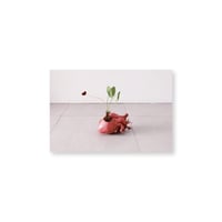 Kei Imazu / 【A-2】Heart Postcard