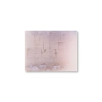 Rinko Kawauchi / 【あめつち-42】Untitled from あめつち Postcard