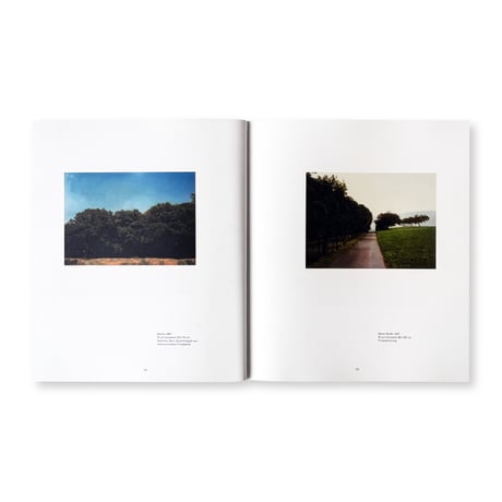 Gerhard Richter / Landschaft (ドイツ語版）