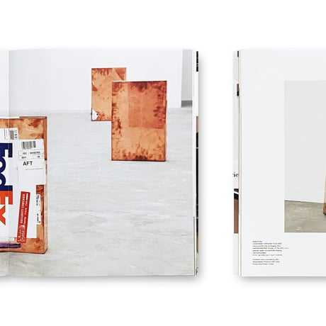 Walead Beshty / Natural Histories