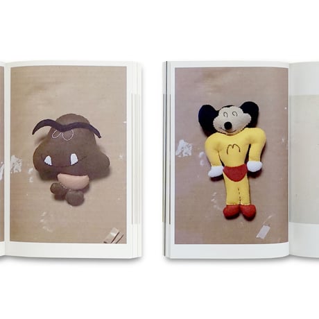 Yuri Hasegawa / Have You Seen Them