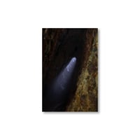 Rinko Kawauchi / 【M/E-16】Untitled from M/E Postcard