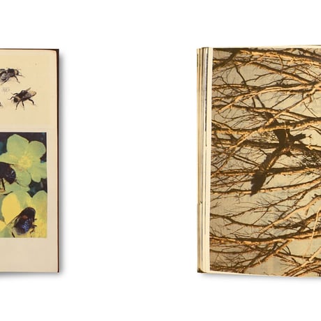 Lous Martens / Animal Books For (Reprint/ New Cover)