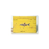 Kei Imazu / 【B-8】Lost Fish Postcard
