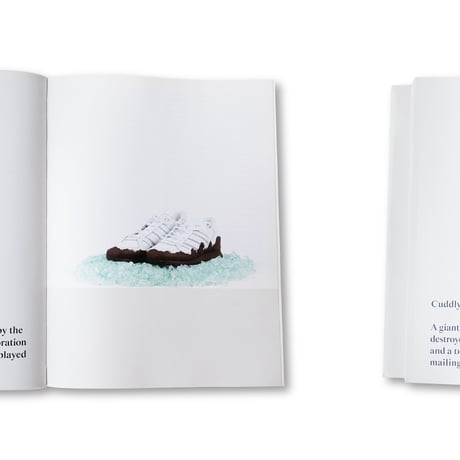 Ryan Gander / Fieldwork, The Complete Reader