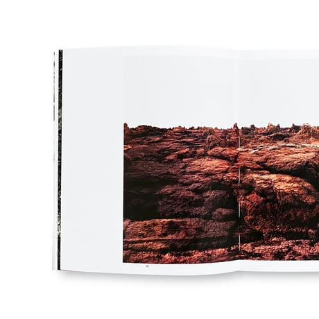 Geert Goiris / World Without Us