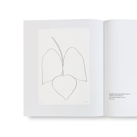 Ellsworth Kelly / Plant Lithographs
