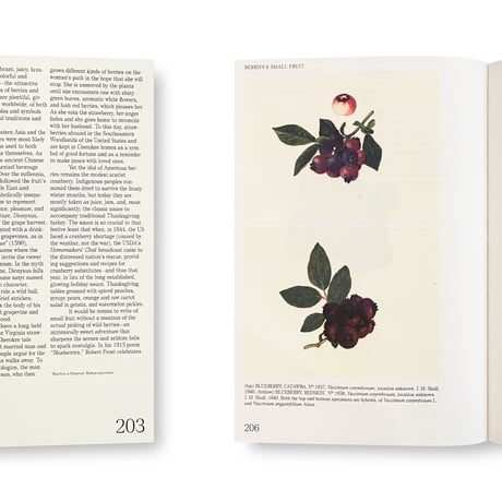 An Illustrated Catalog of American Fruits & Nuts